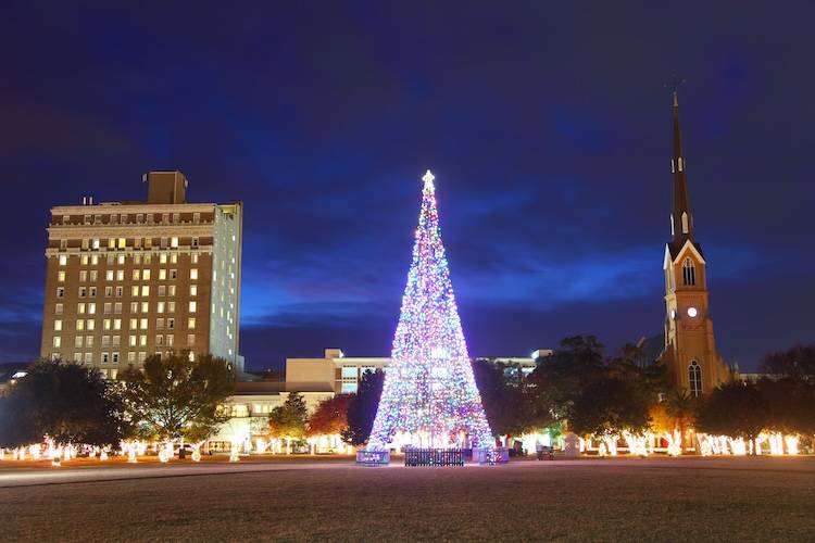 Christmas tree in downtown Charleston, SC