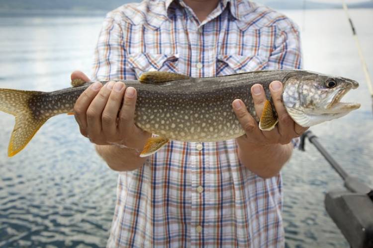 Angler holding a fish on a boat